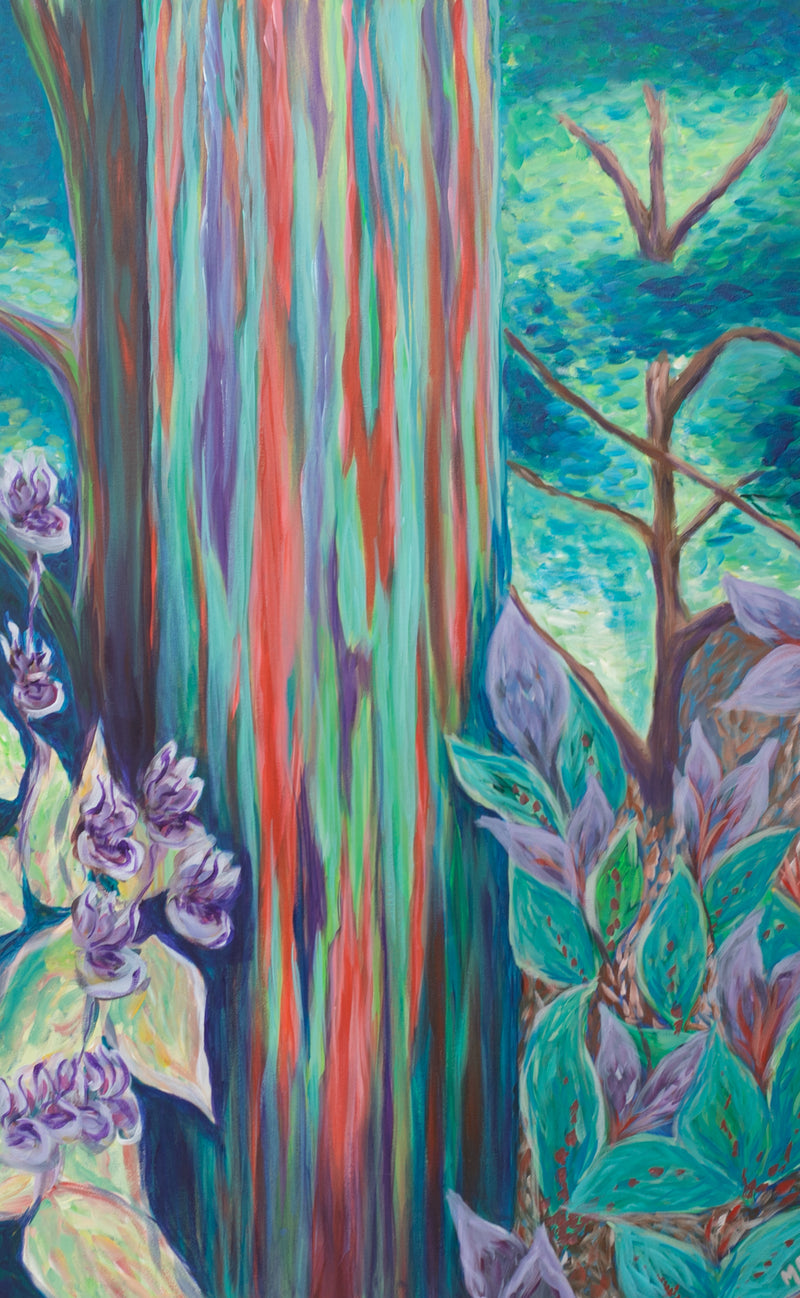 Rainbow Eucalyptus tree