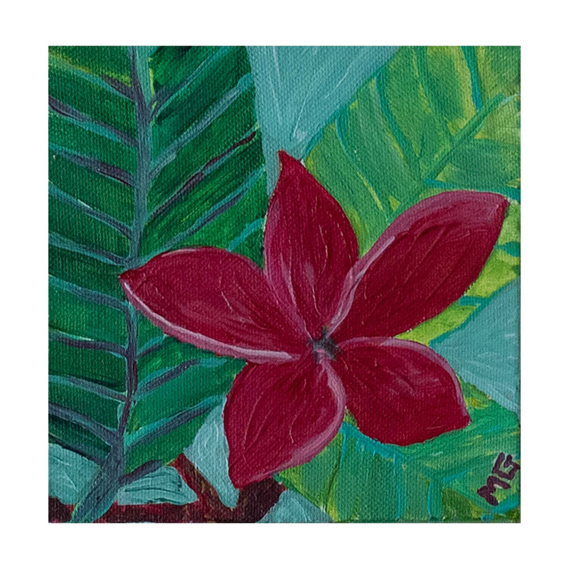 Plumeria flower