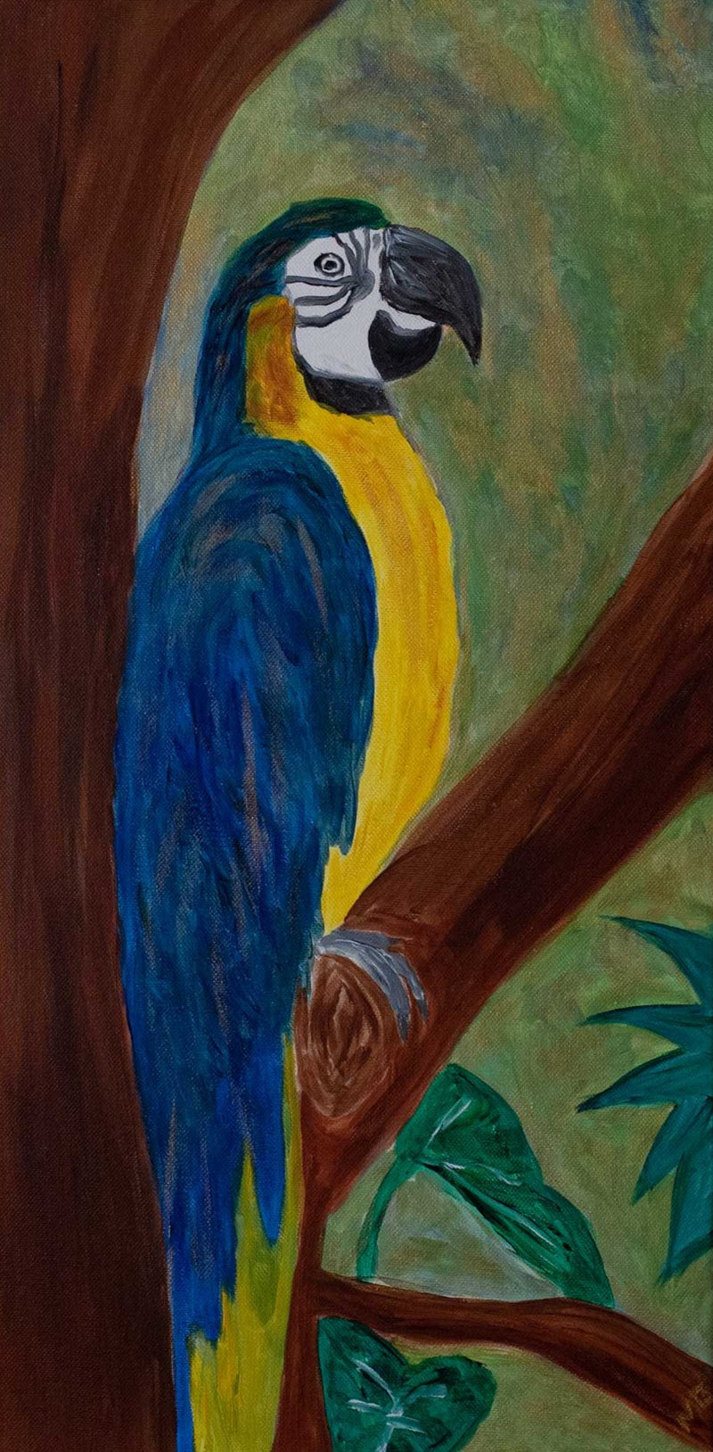 The Macaw
